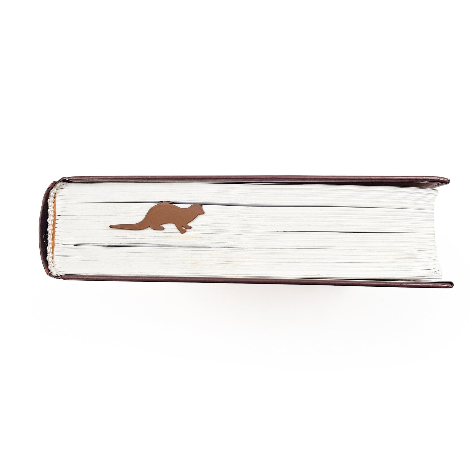 Otter bookmark in a closed book, only its top showing above the pages