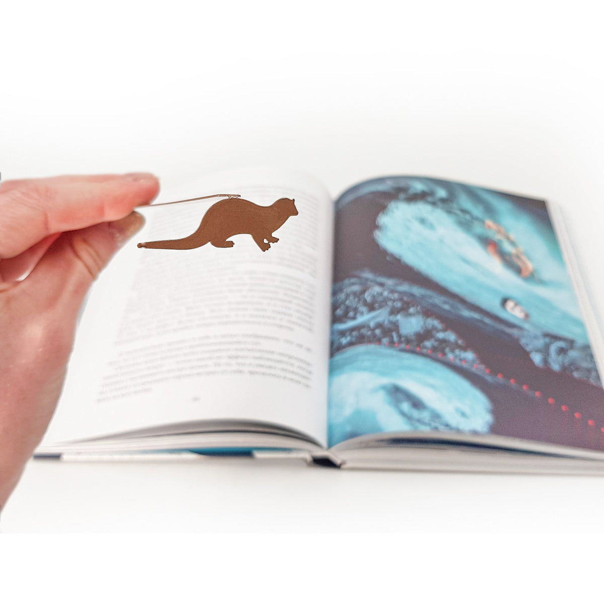 Otter bookmark marking a page in an illustrated book