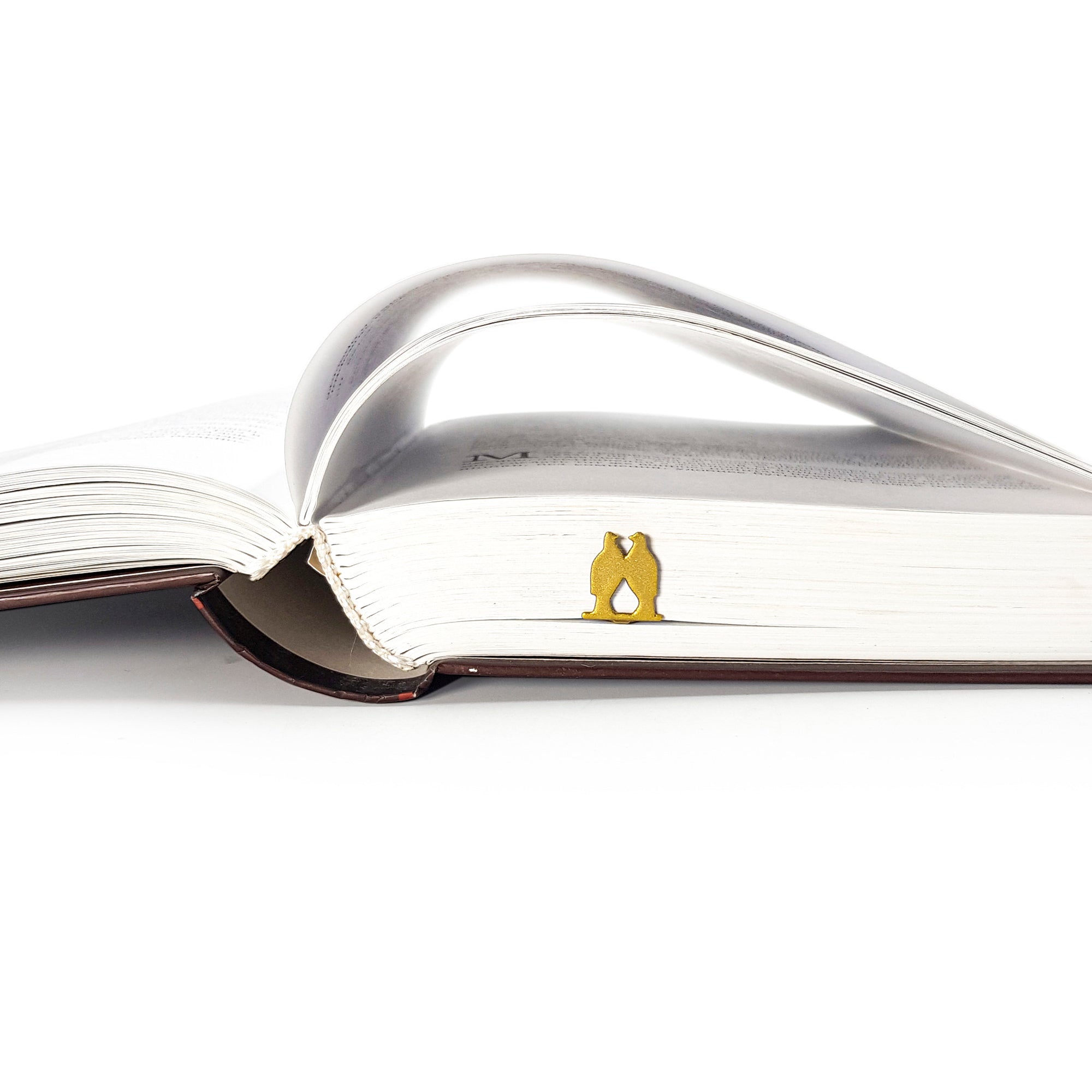 Pair of Pigeons – Romantic Metal Page Holder for Book Lovers - Atelier Article