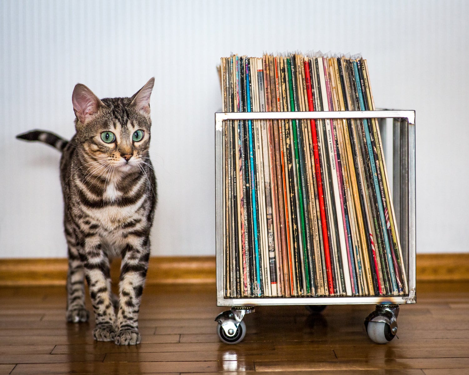 Premium Quality Hand-Welded Vinyl Record Storage Crate "TWINS". - Atelier Article